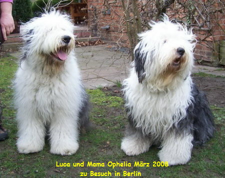 Luca und Mama Ophelia M�rz 2008
zu Besuch in Berlin