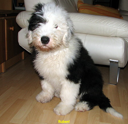 Ruben!