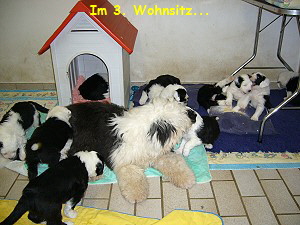 Im 3. Wohnsitz...