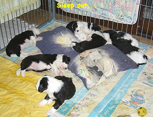 Sleep out...