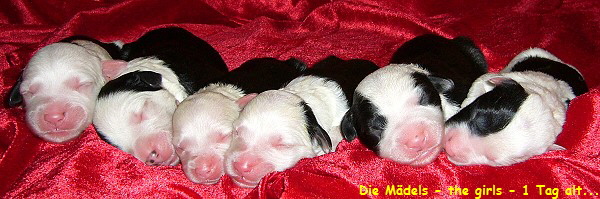 Die M�dels - the girls - 1 Tag alt...