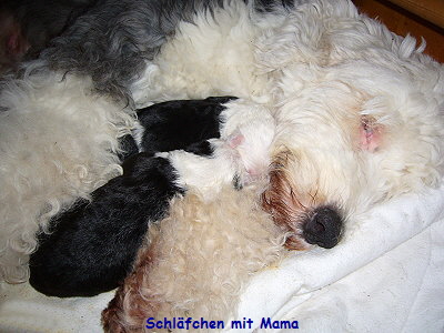 Schl�fchen mit Mama