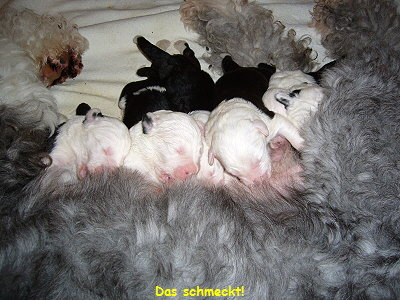 Das schmeckt!