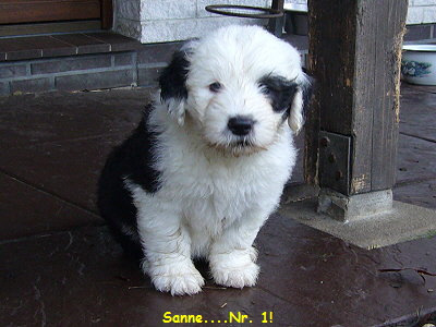 Sanne....Nr. 1!