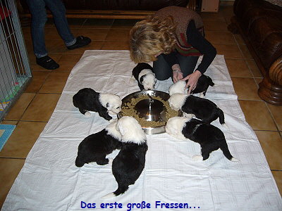 Das erste gro�e Fressen...