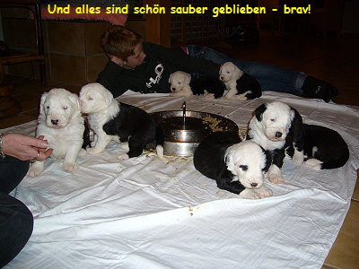 Und alles sind sch�n sauber geblieben - brav!
