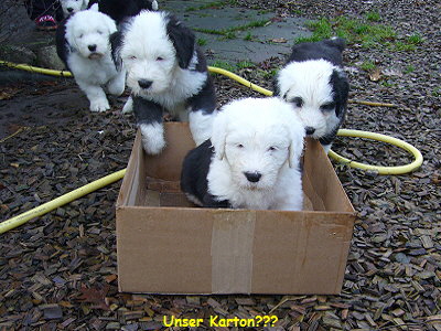 Unser Karton???