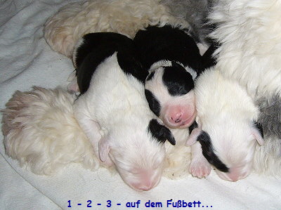 1 - 2 - 3 - auf dem Fu�bett...