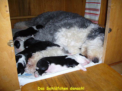 Das Schl�fchen danach!