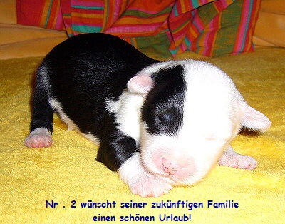 Nr . 2 w�nscht seiner zuk�nftigen Familie
einen sch�nen Urlaub!