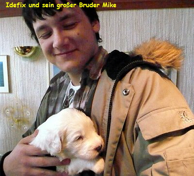 Idefix und sein gro�er Bruder Mike
