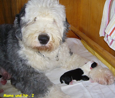 Mama und Nr. 2