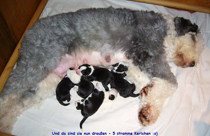 Und da sind sie nun drau�en - 5 stramme Kerlchen :o)