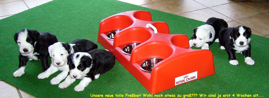 Unsere neue tolle Fre�bar! Wohl noch etwas zu gro�??? Wir sind ja erst 4 Wochen alt...