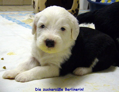 Die zuckers��e Berlinerin!