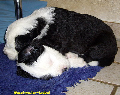 Geschwister-Liebe!