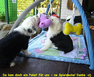 Da kam doch ein Paket f�r uns - ne Spieldecke! Danke :o)