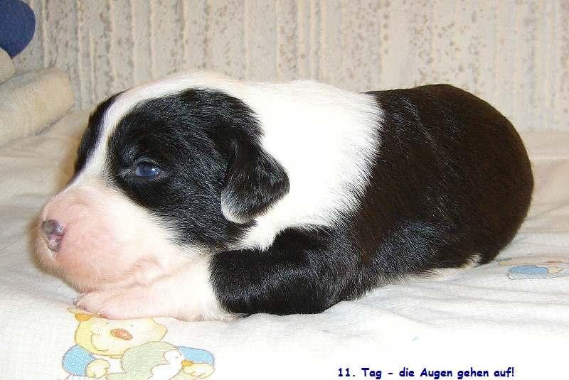 11. Tag - die Augen gehen auf!