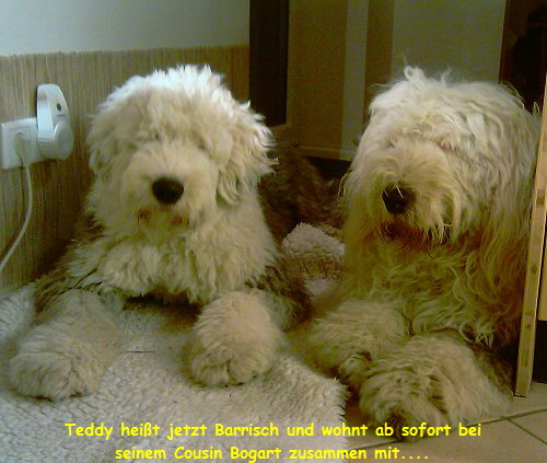 Teddy hei�t jetzt Barrisch und wohnt ab sofort bei
seinem Cousin Bogart zusammen mit....