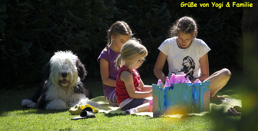 Gr��e von Yogi & Familie
