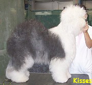 Kisses