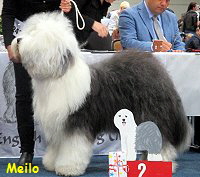 Meilo