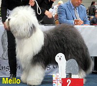 Meilo