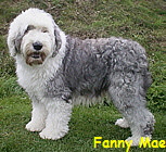 Fanny Mae