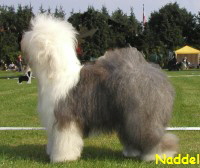 Naddel