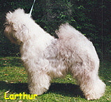 Larthur