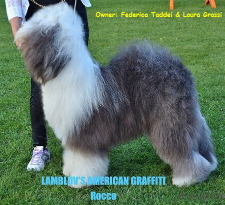 Owner: Federica Taddei & Laura Grassi