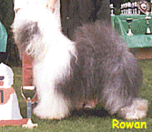 Rowan
