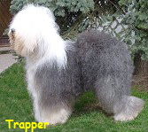 Trapper
