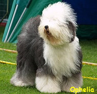 Ophelia