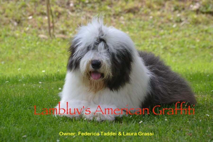 Owner: Federica Taddei & Laura Grassi